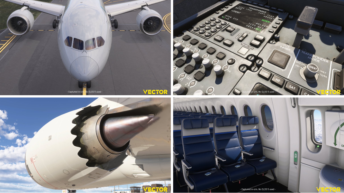 Vector Studio on X: 