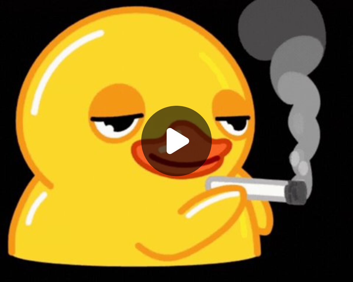 Evelyn DR on X: 