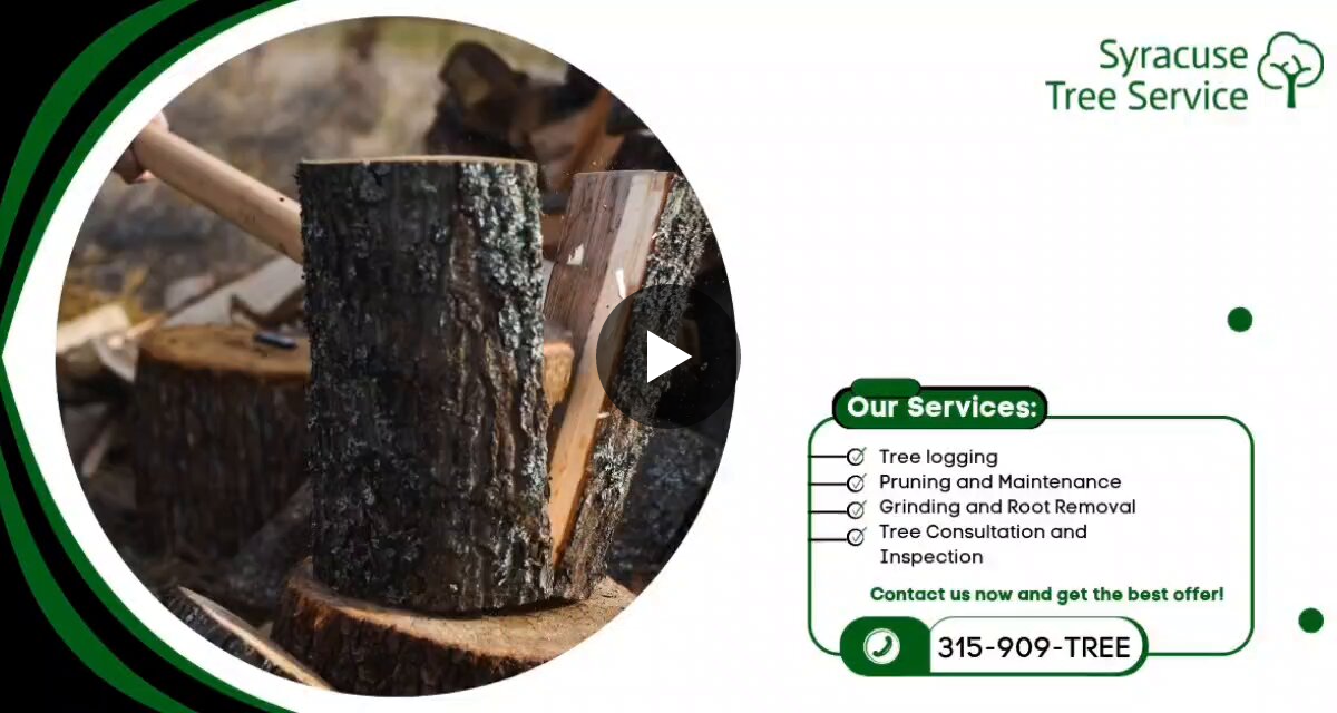 Syracuse Tree Service on X: 