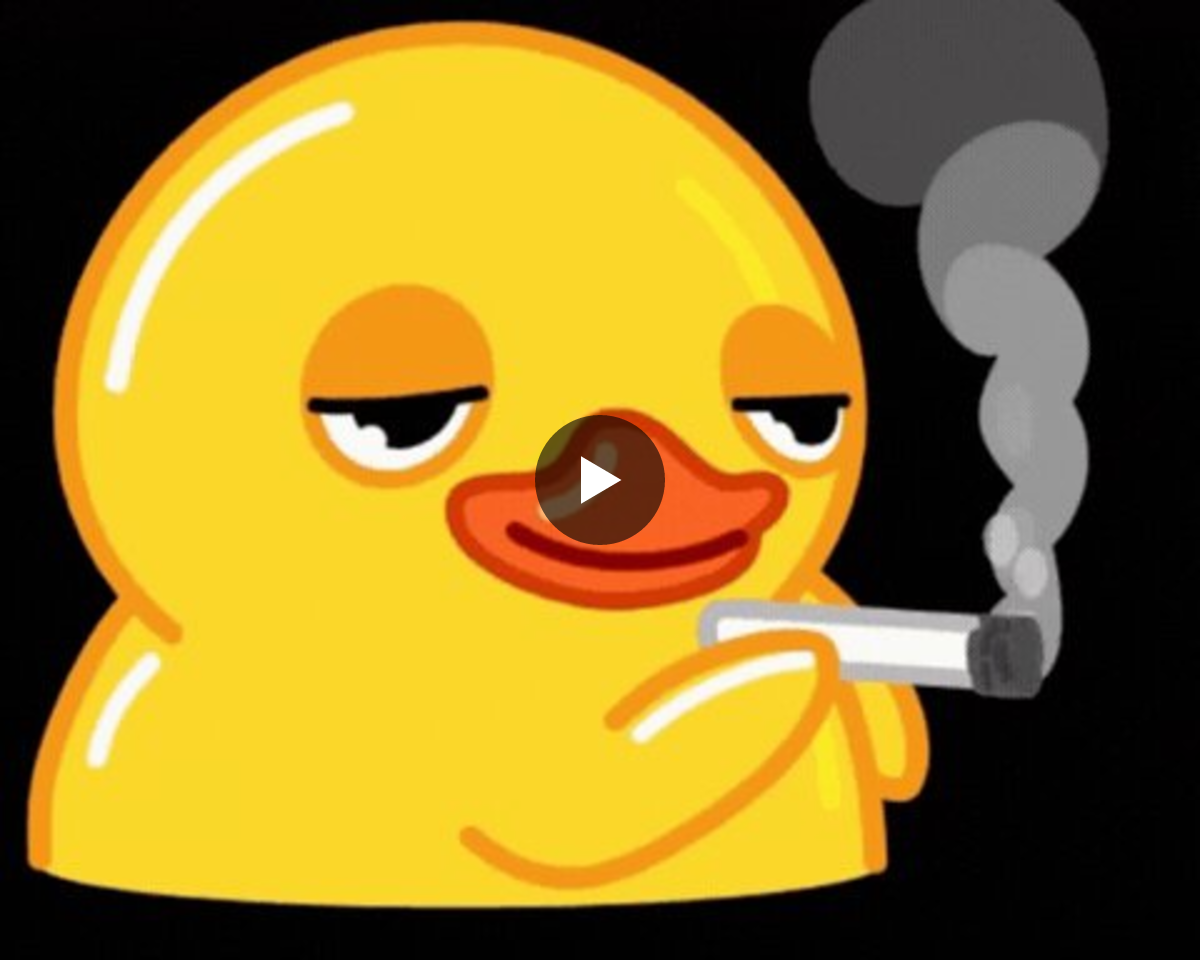 andi 🐥 on X: 