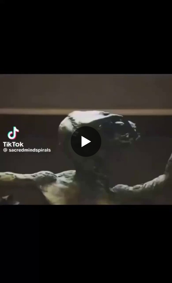 𝕲𝖊𝖗𝖒𝖆𝖓𝖎𝖈 𝕱𝖗𝖊𝖓 🇺🇲 on X: 