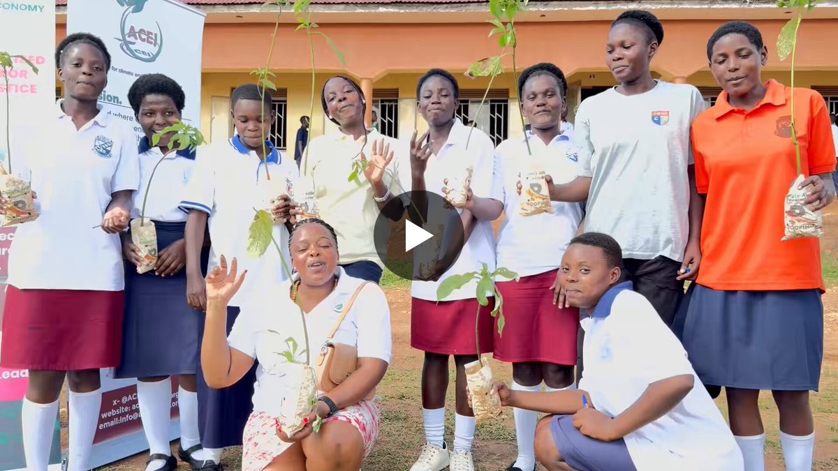 Women for Green Economy Movement Uganda on X: 