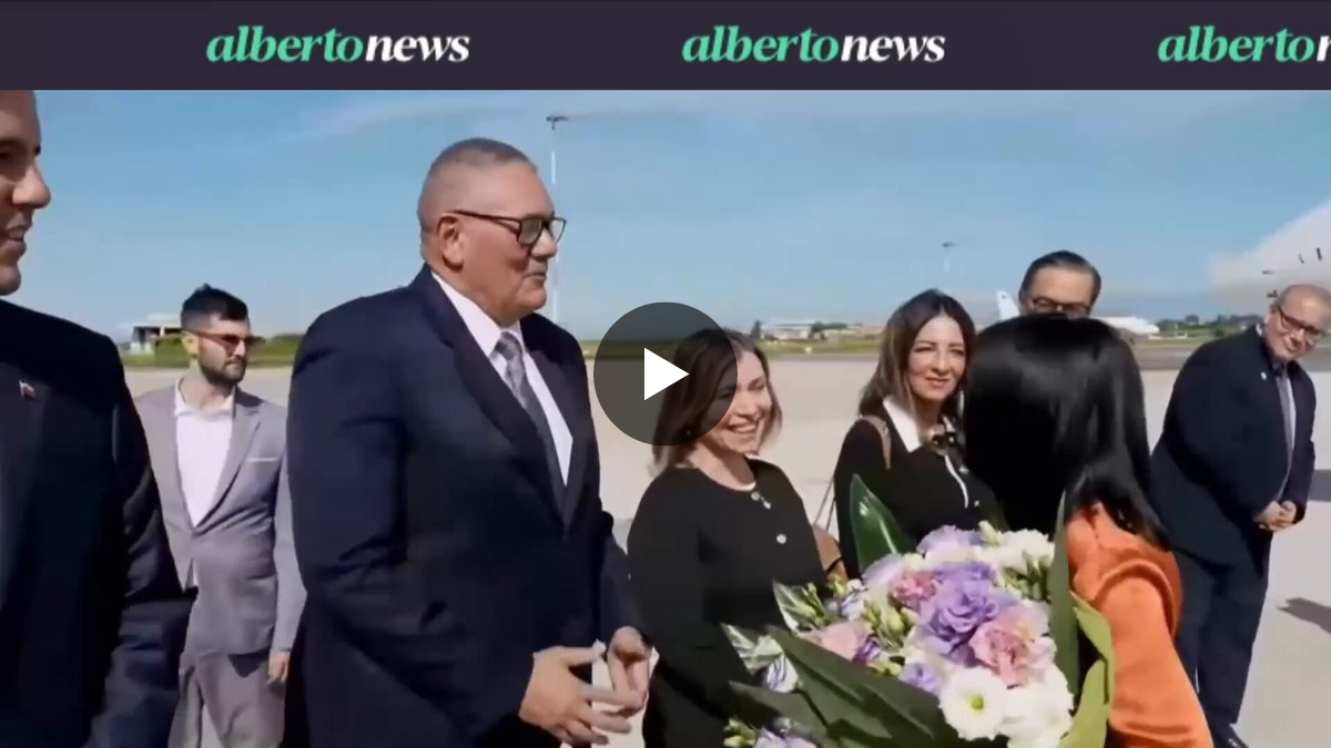 AlbertoRodNews on X: 