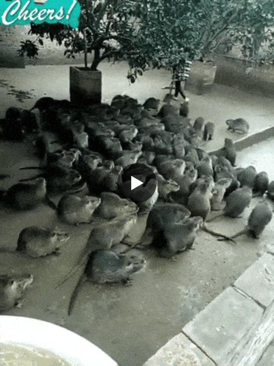 سيف الله on X: 
