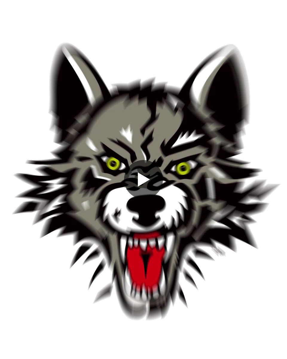 Chicago Wolves on X: 