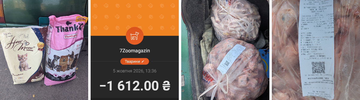 Домашній притулок «ZooBanda»-Запоріжжя🇺🇦 on X: 