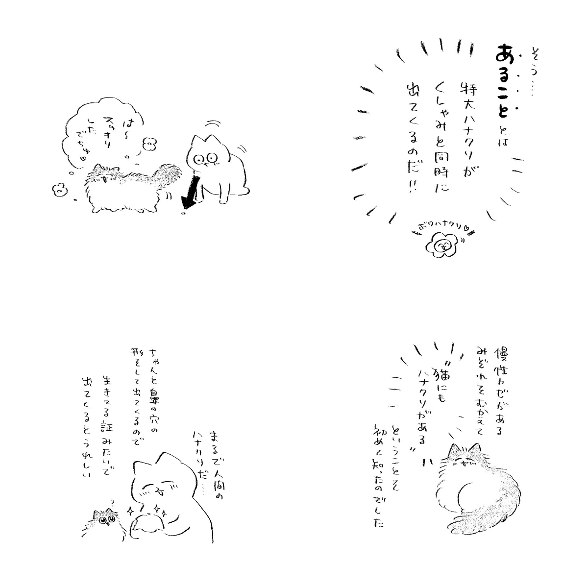 むしろ on X: 