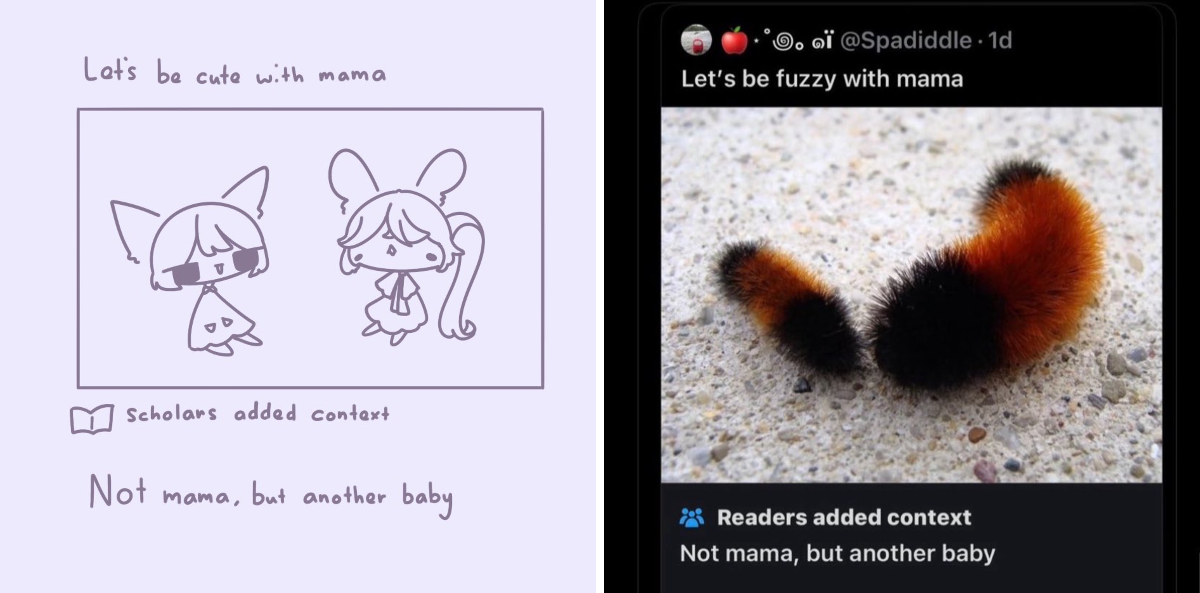 Ribbon 🎀 on X: 