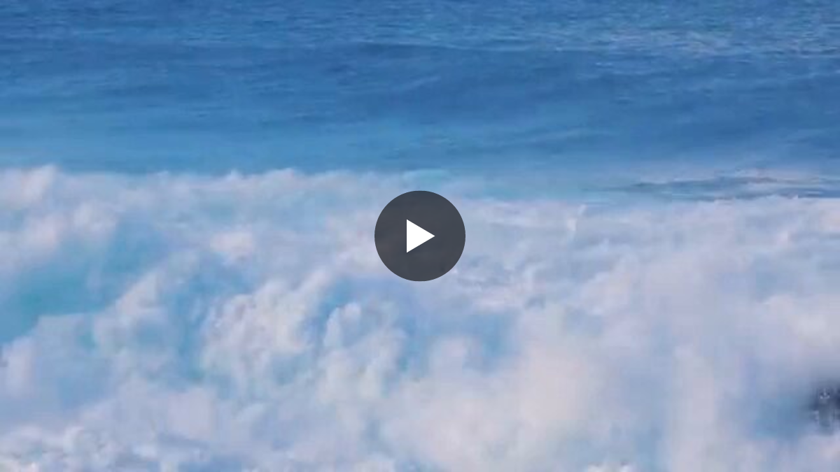 Surf Life 🏄 on X: 