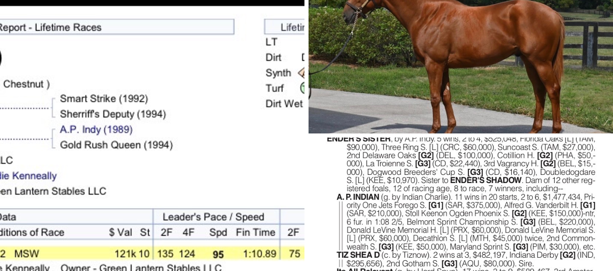 Save Horse Racing on X: 