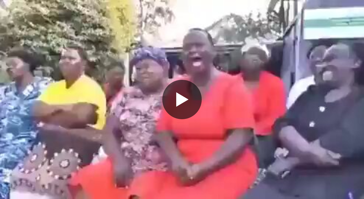 Ngamini on X: 