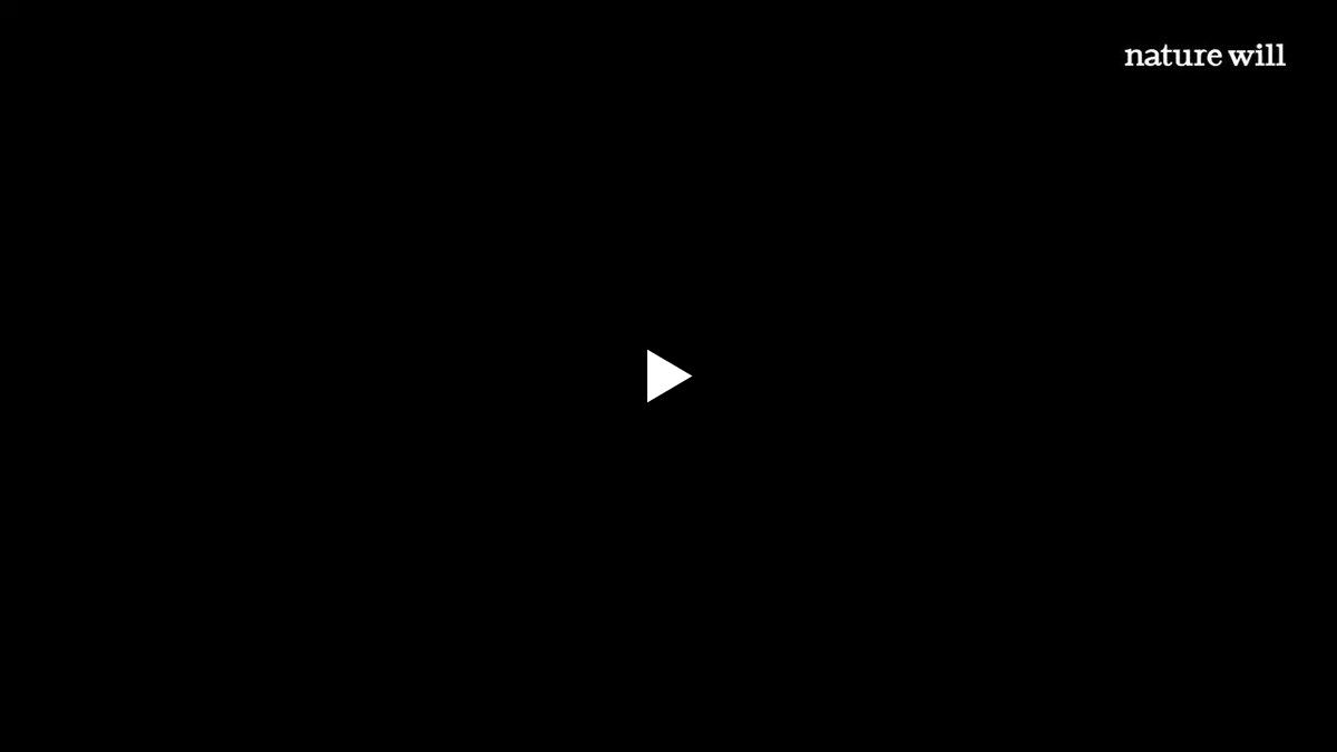 CTO ROBOTICS Media on X: 