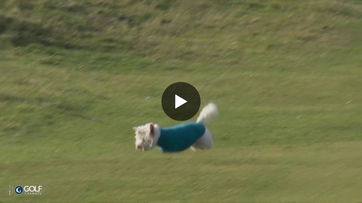 Golf Channel on X: 