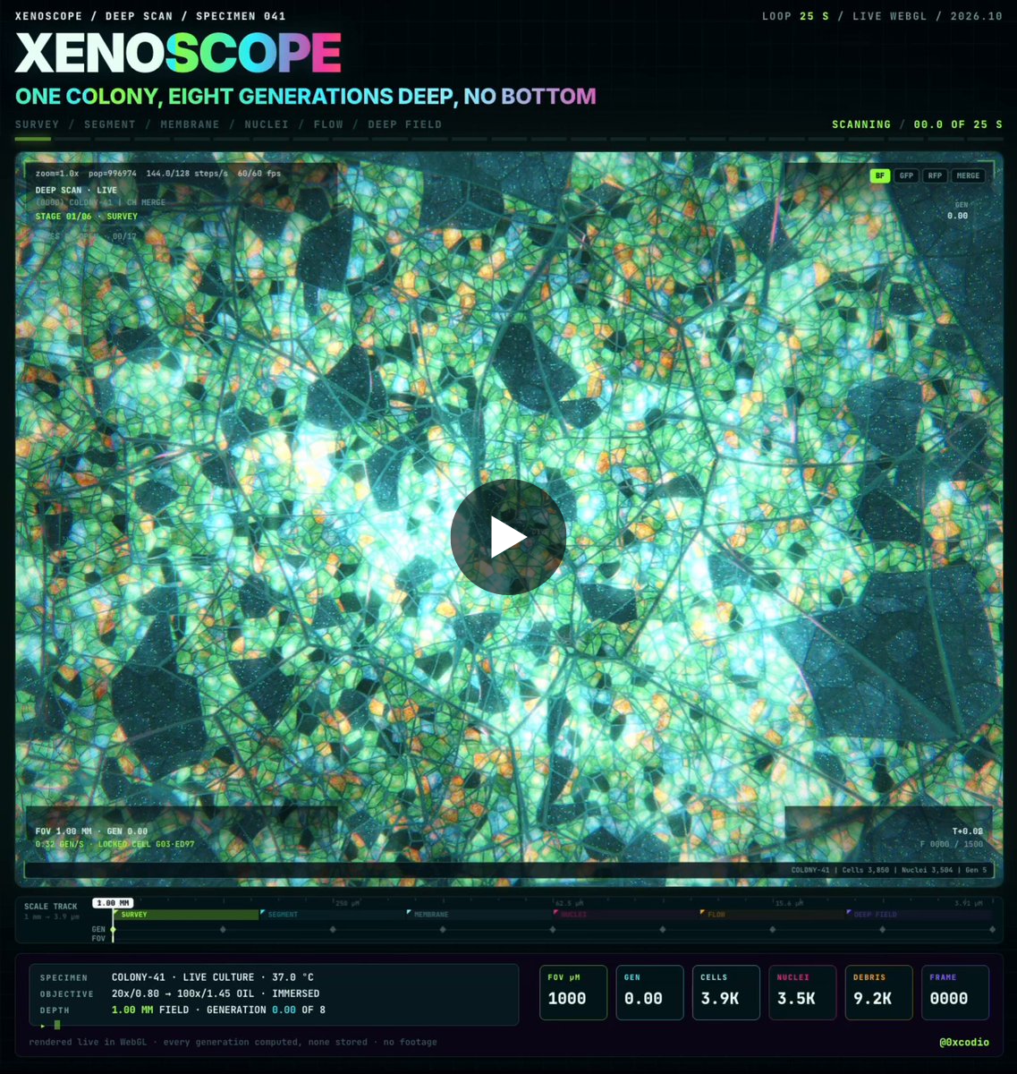 Codio on X: "Anthropic model studied a real protein and built the whole ...
