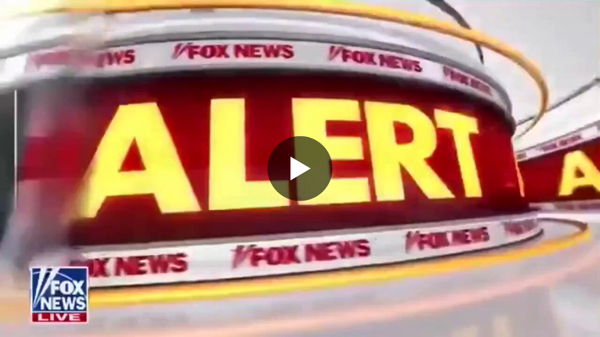 MAGA Fox on X: 