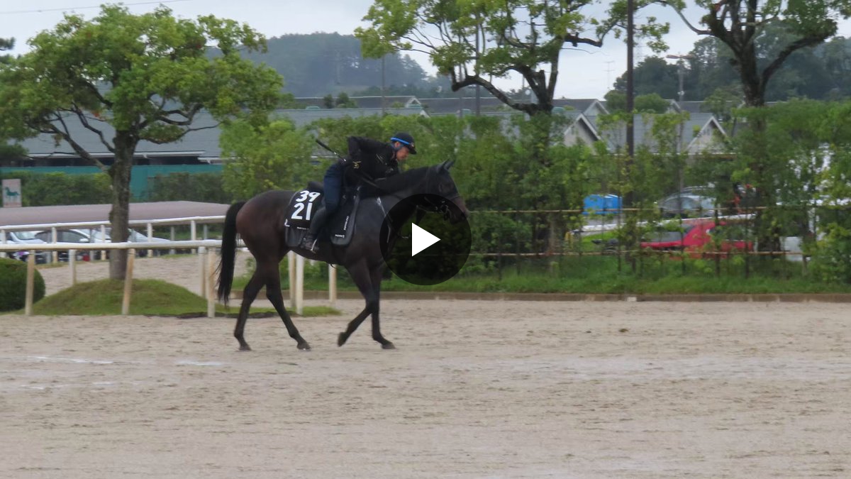 日刊ゲンダイ 競馬 on X: 
