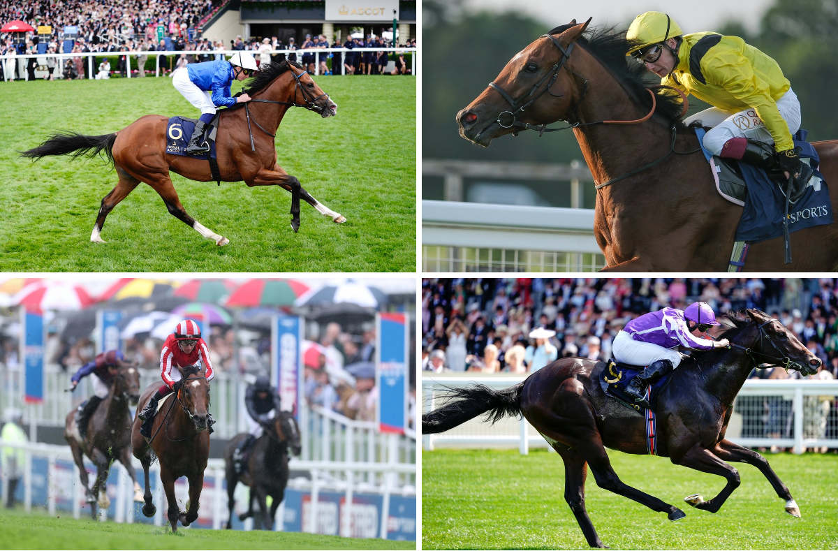 Ascot Racecourse on X: 