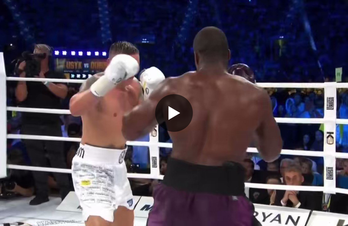 Sportsss 🥊 on X: 