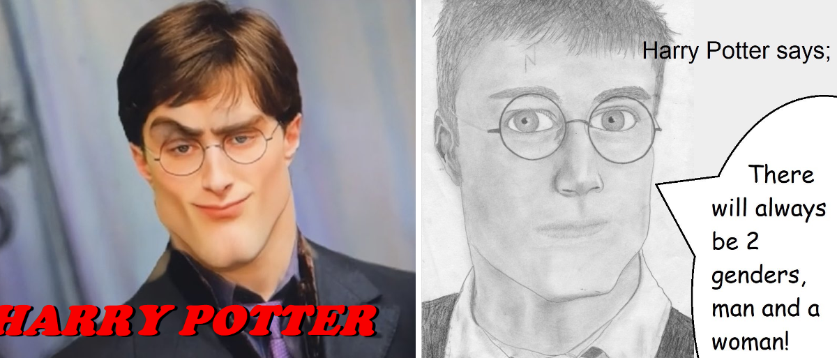 Harry Potter 67 on X: 