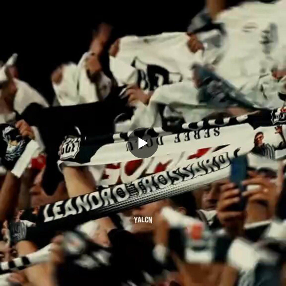 savio / 🇹🇷🦅 on X: 