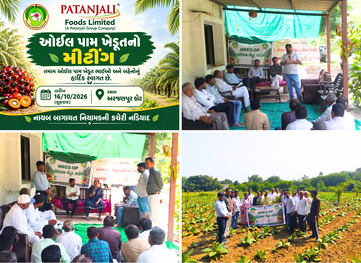 Patanjali Palm Plantations on X: 