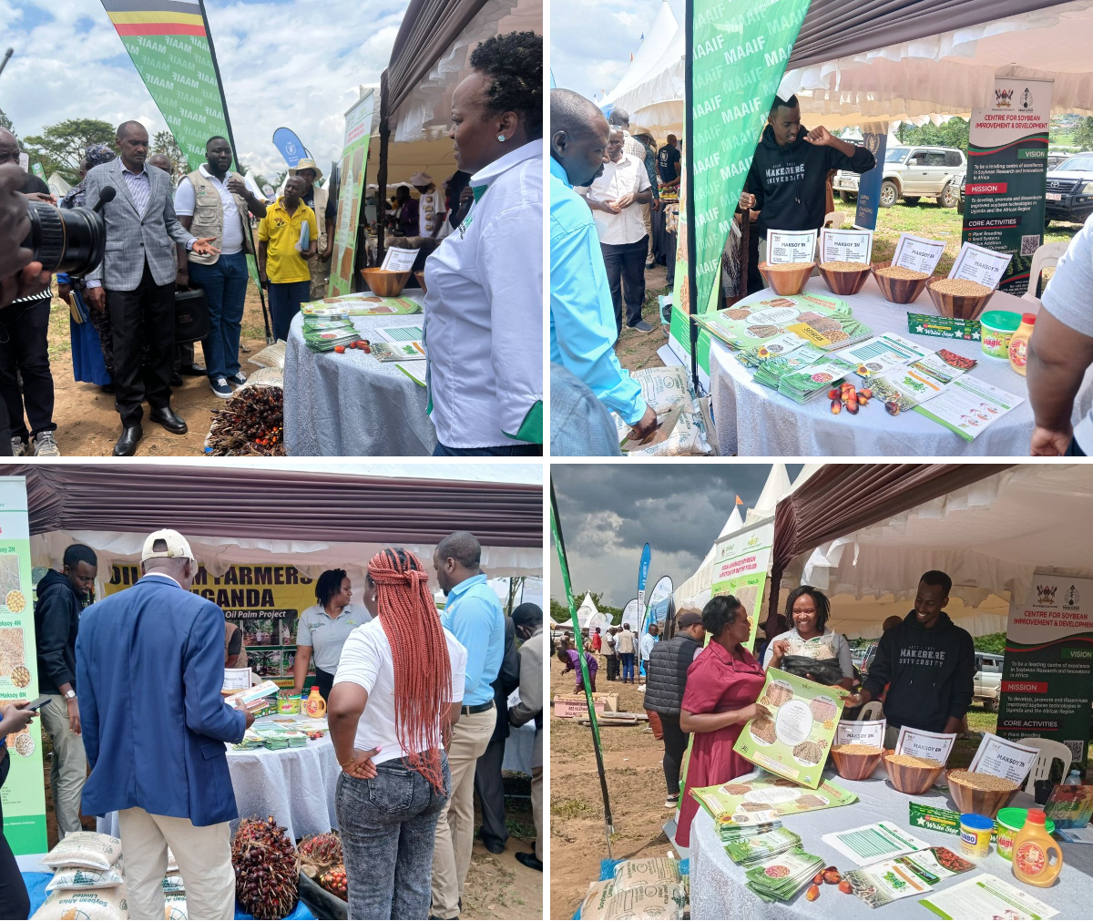 National Oilseeds Project (NOSP) on X: 
