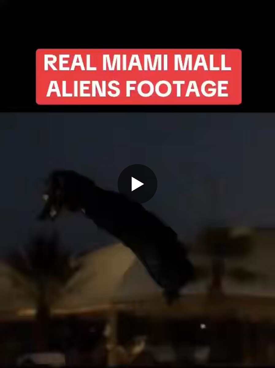 King Arsenio on X: "1/1/2024, the news reported that Miami’s Bayside ...