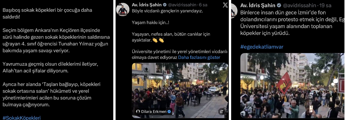 TALHA KAÇAR on X: 
