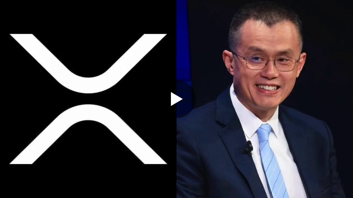 Michele kirby on X: 