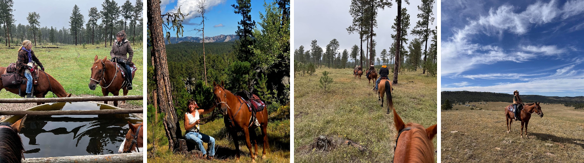 FarmgirlRebel 🏴‍☠️ 🐎 🐾 on X: 