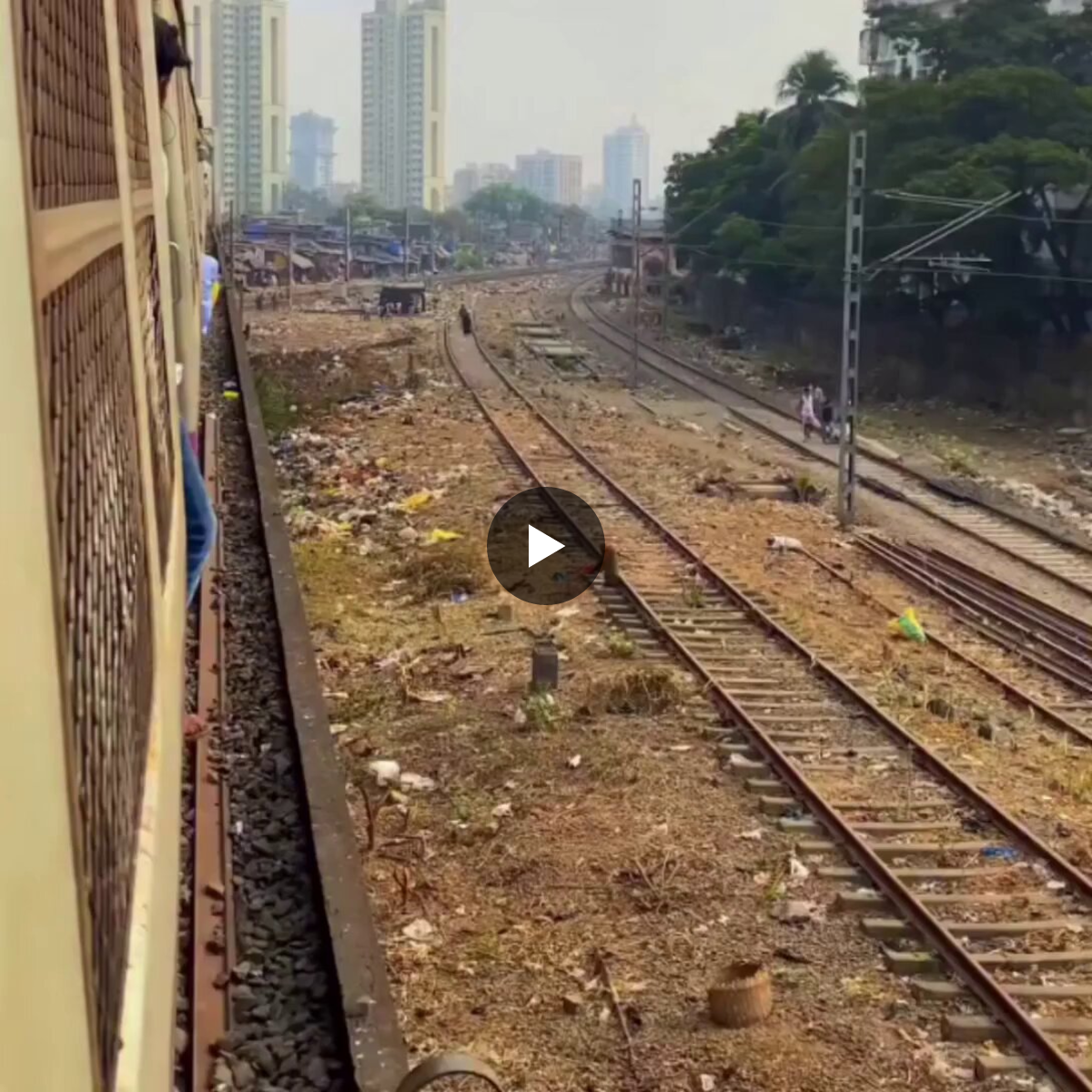 Defecation Nation on X: 