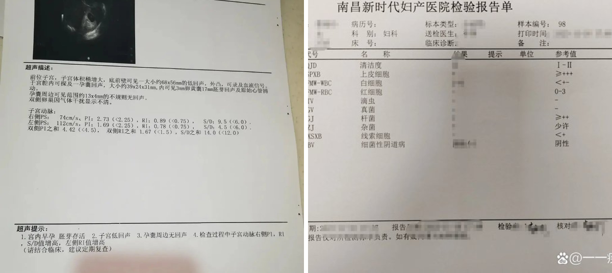 零绪@ on X: 
