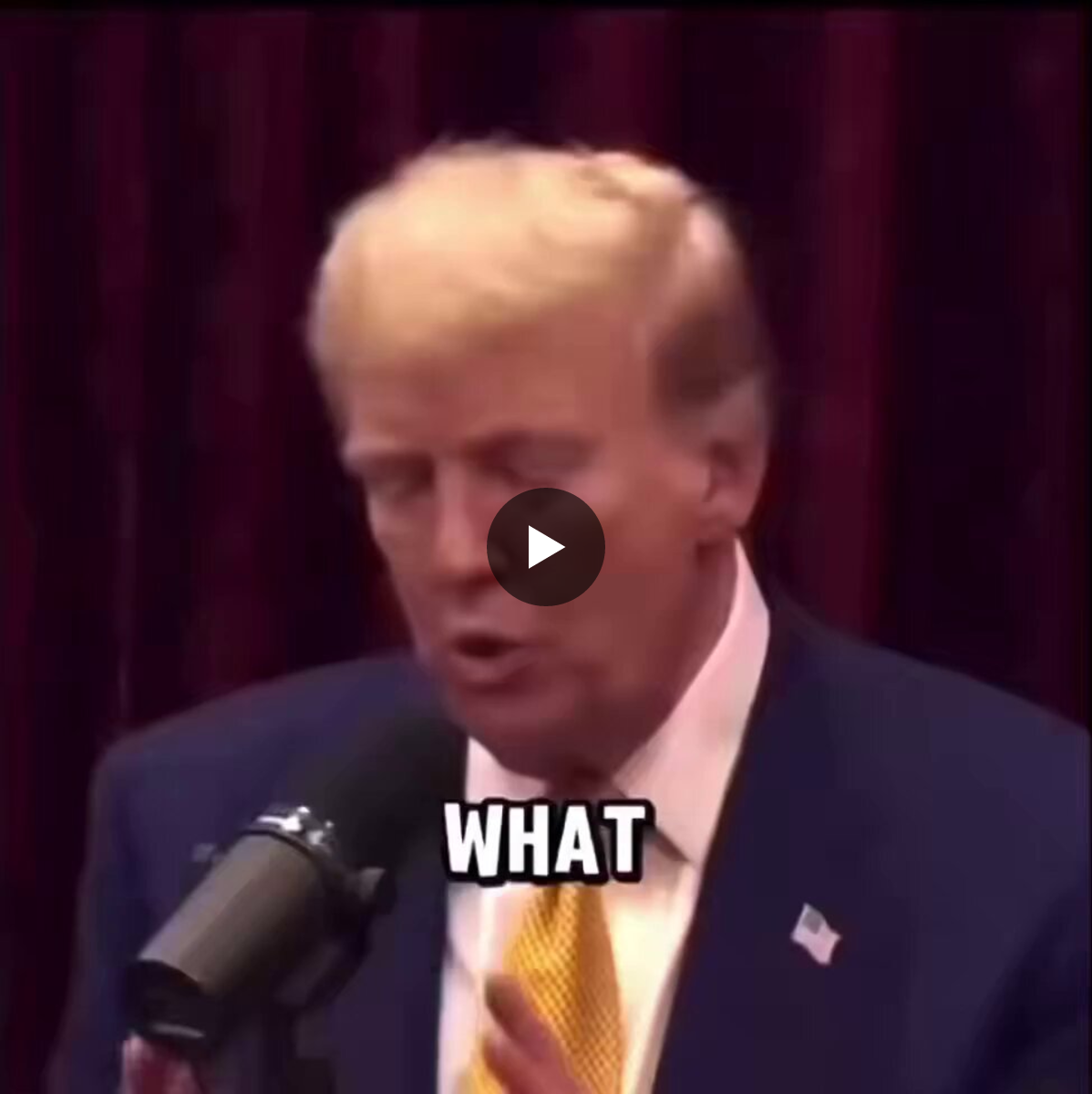 Patriot Muffy on X: 