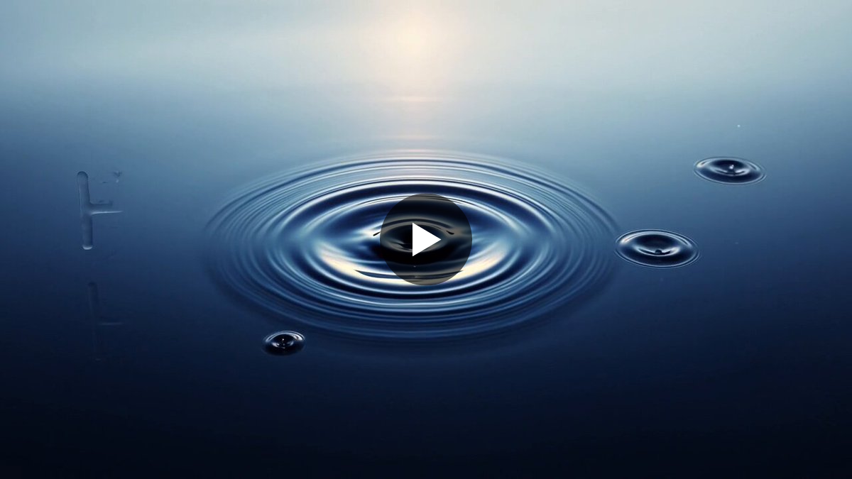Singularity YOU - Learn By Doing. Do By Learning. on X: "Good Wednesday ...