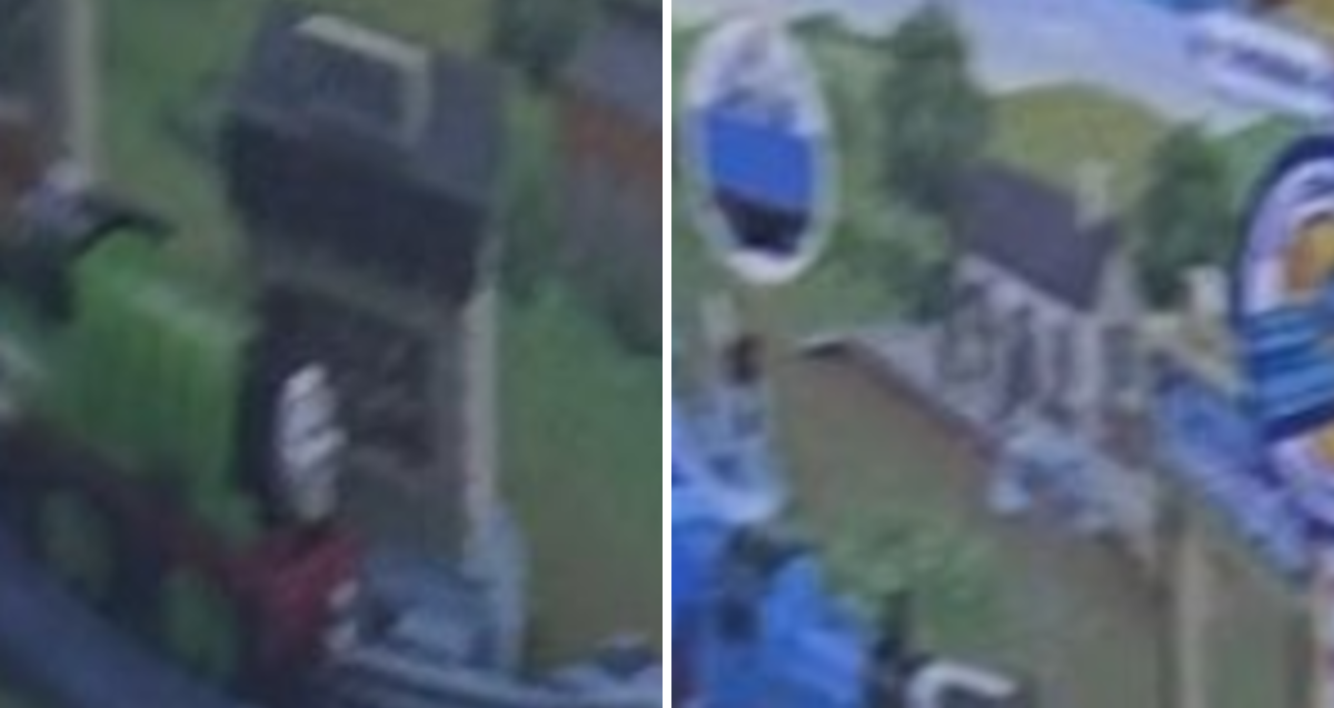 ~PenguinHatGerald~ on X: 