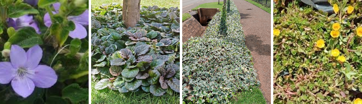 Crystal Gardens Landscape & Gardening Services on X: 