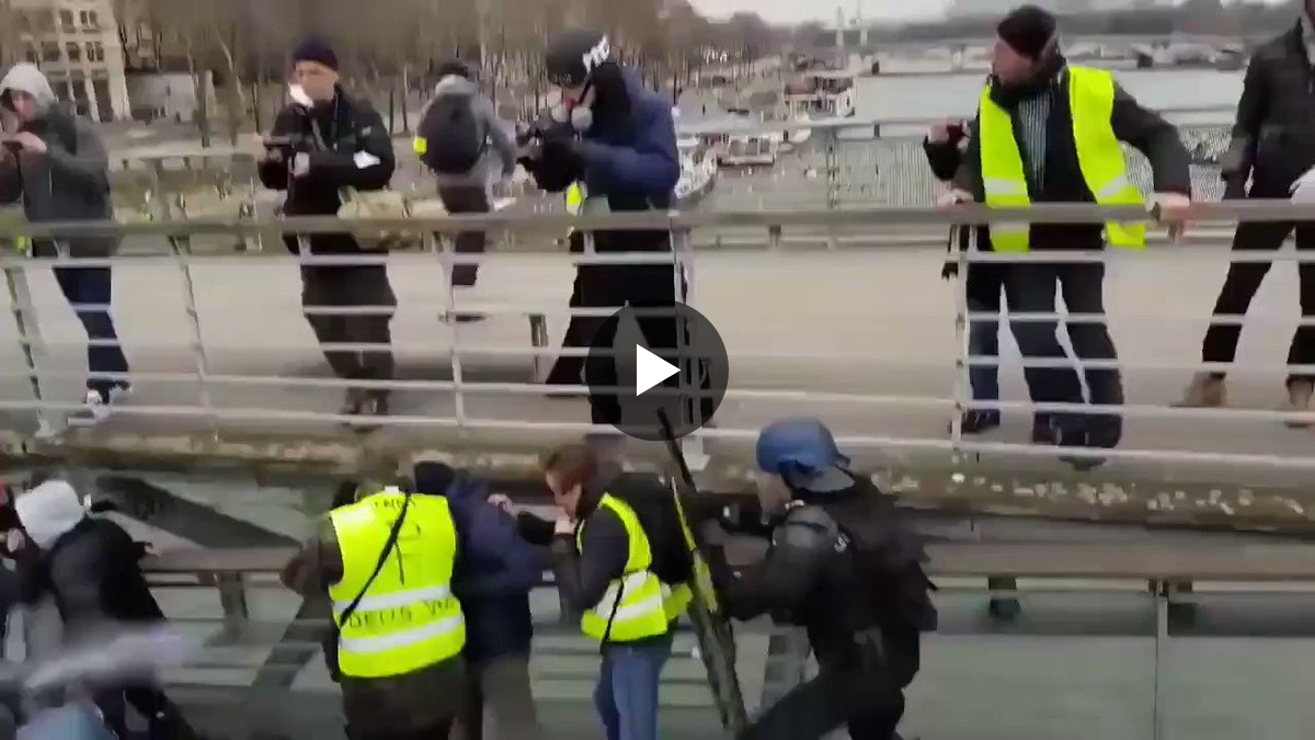 French Dystopia on X: 