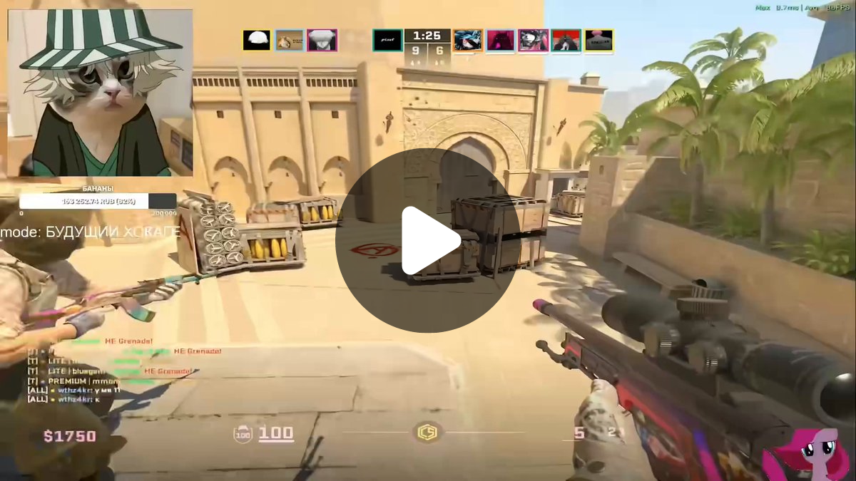 on X: 