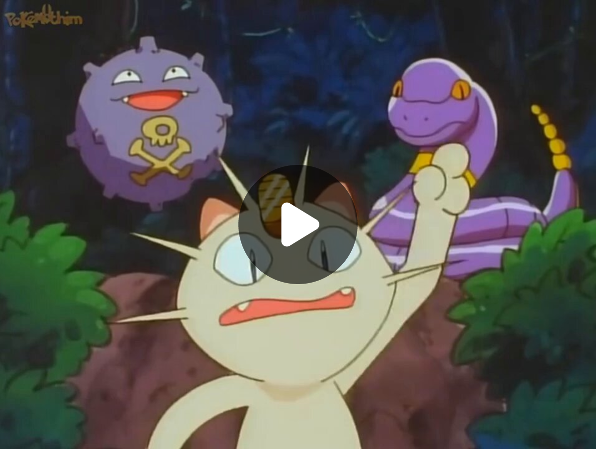 Perito Pokémon on X: 