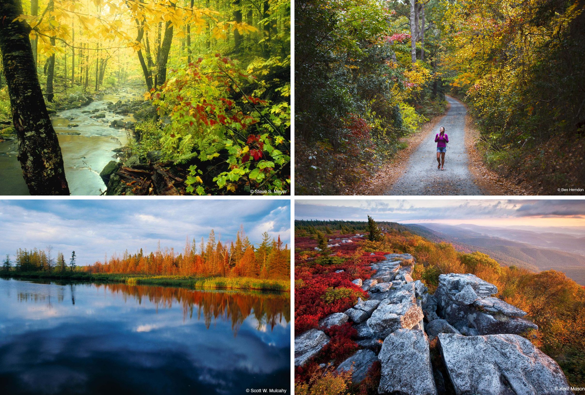 The Nature Conservancy on X: 