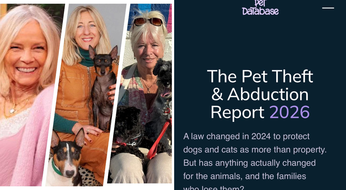 MakeChipsCount to Reunite Pets on X: 