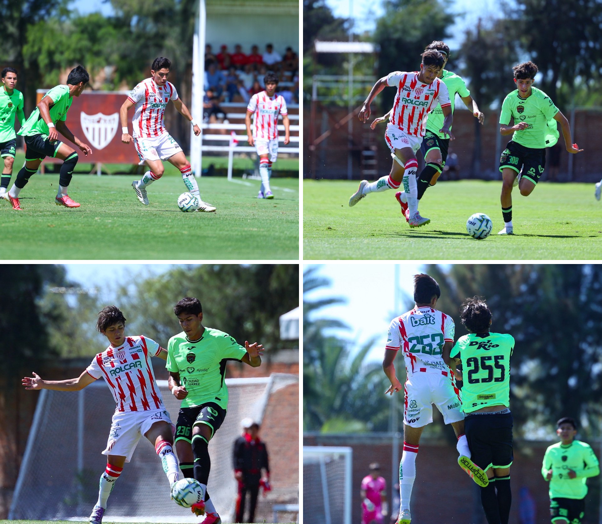 Club Necaxa on X: 