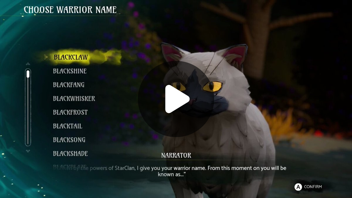 kitty lynxpaws on X: 