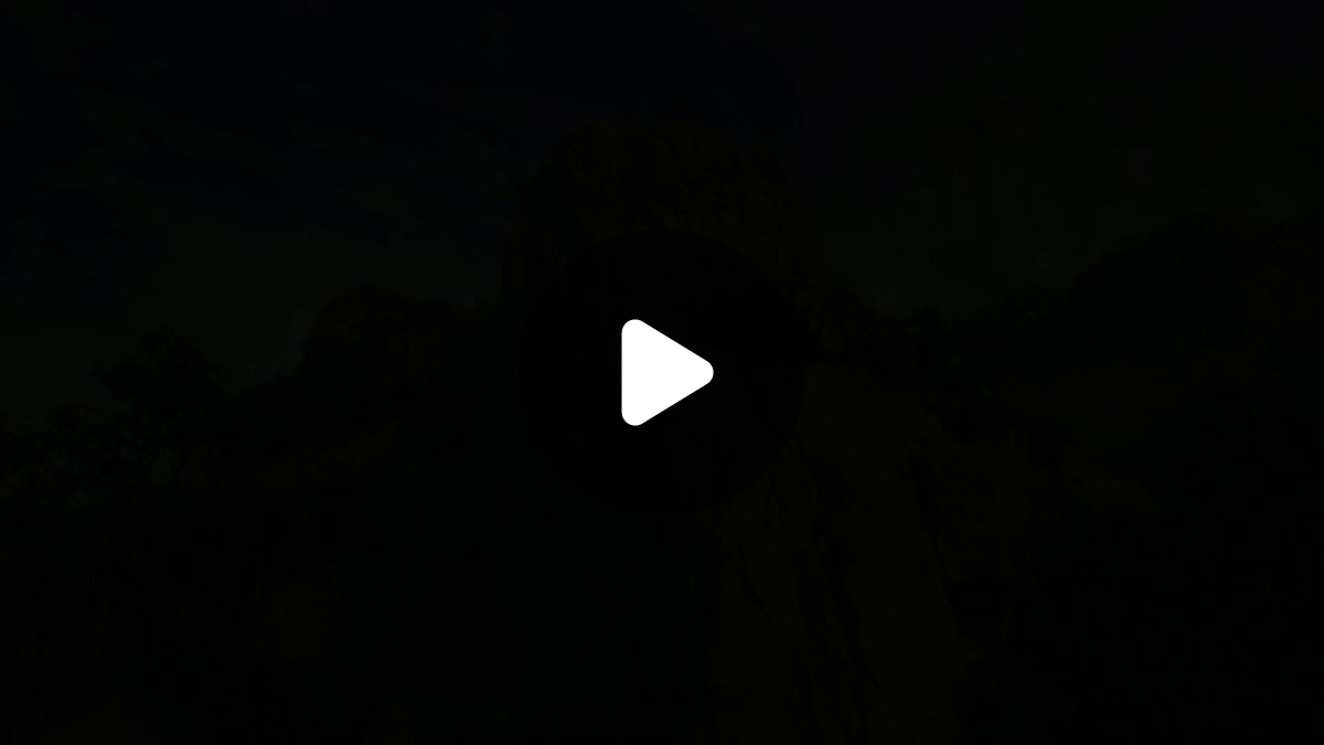 Play Tomb Raider on X: 