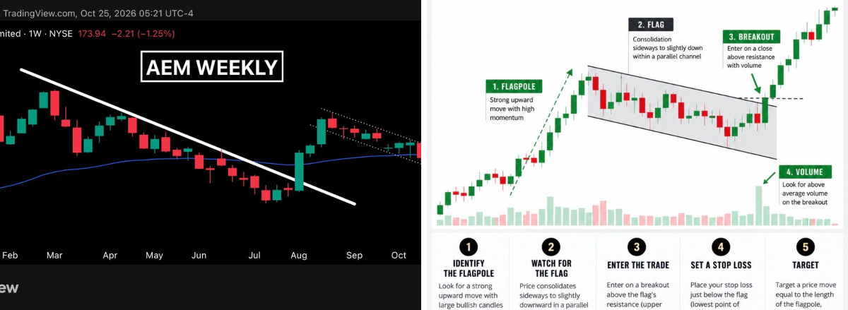 $Trader on X: 