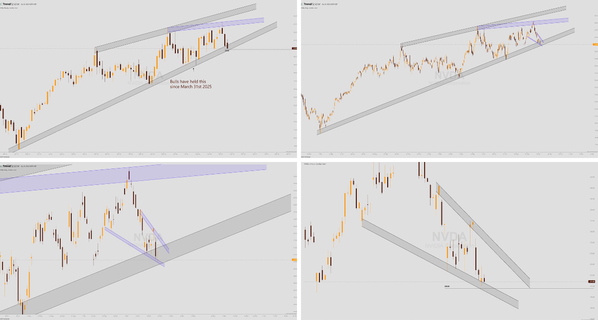 DMP on X: 