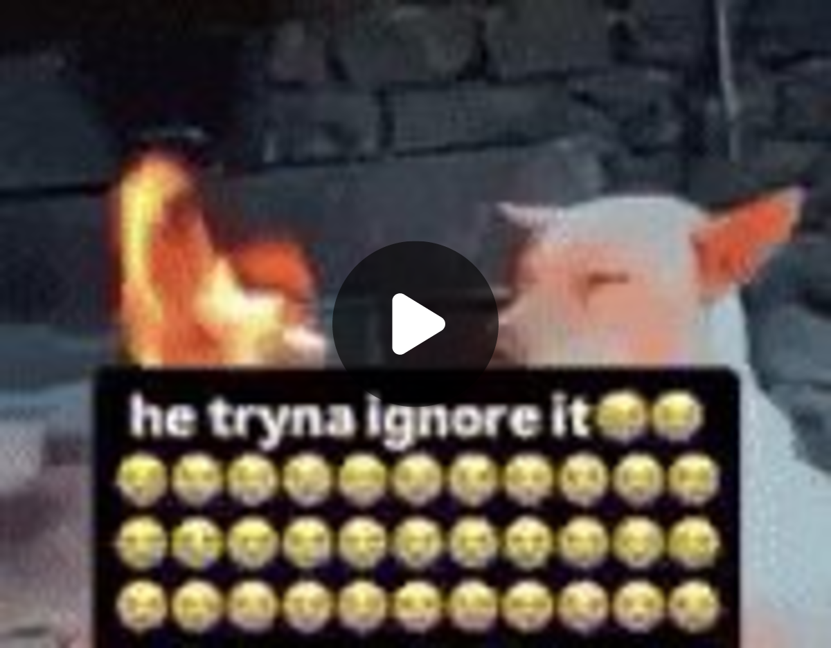 ️ on X: 