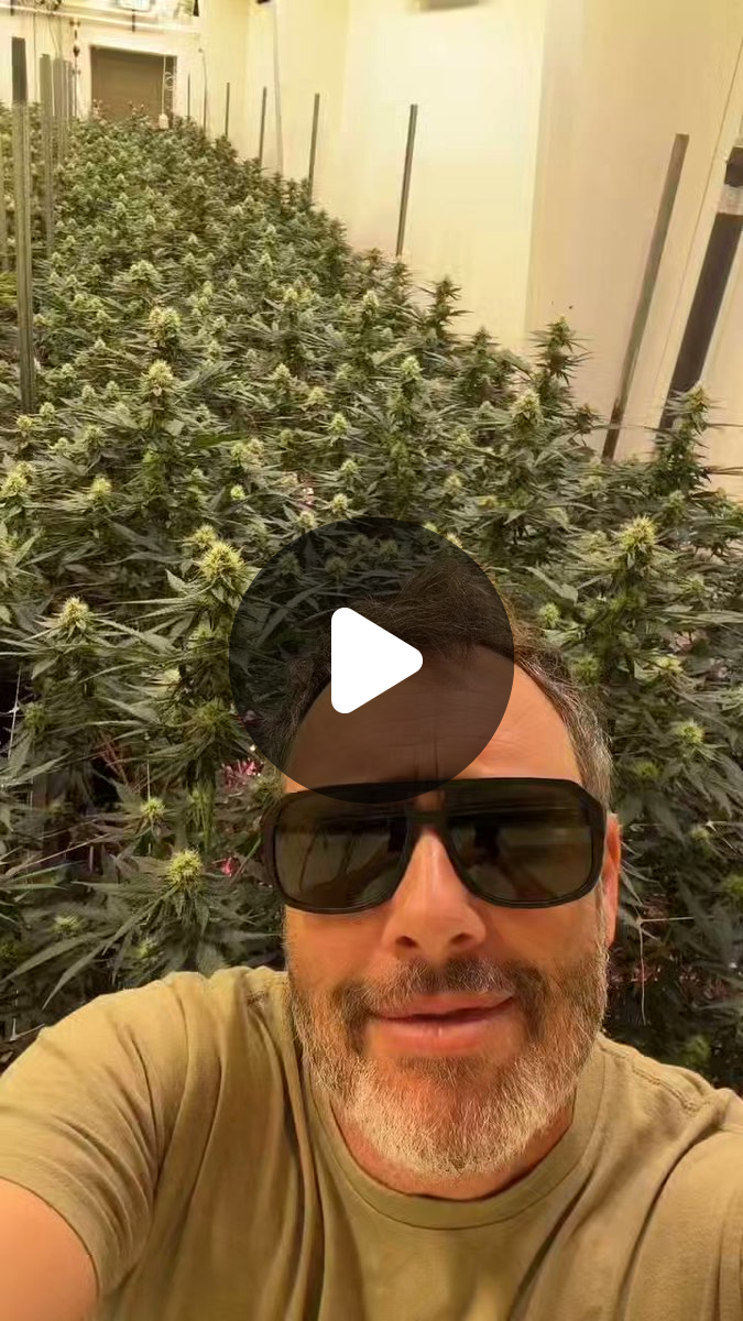 Mendo mikey on X: 