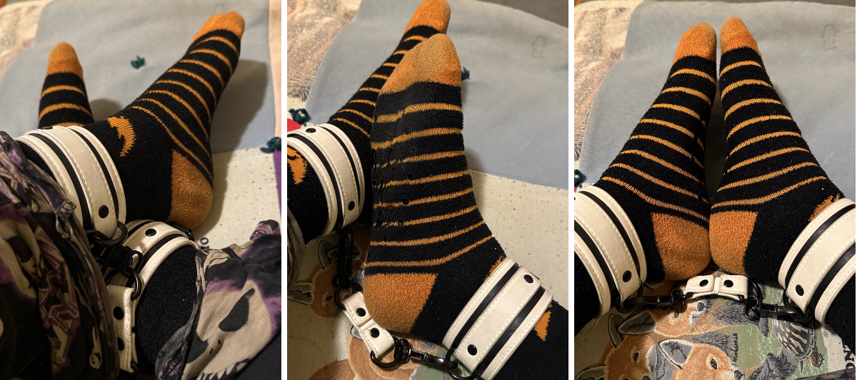 Puppy paws on X / X