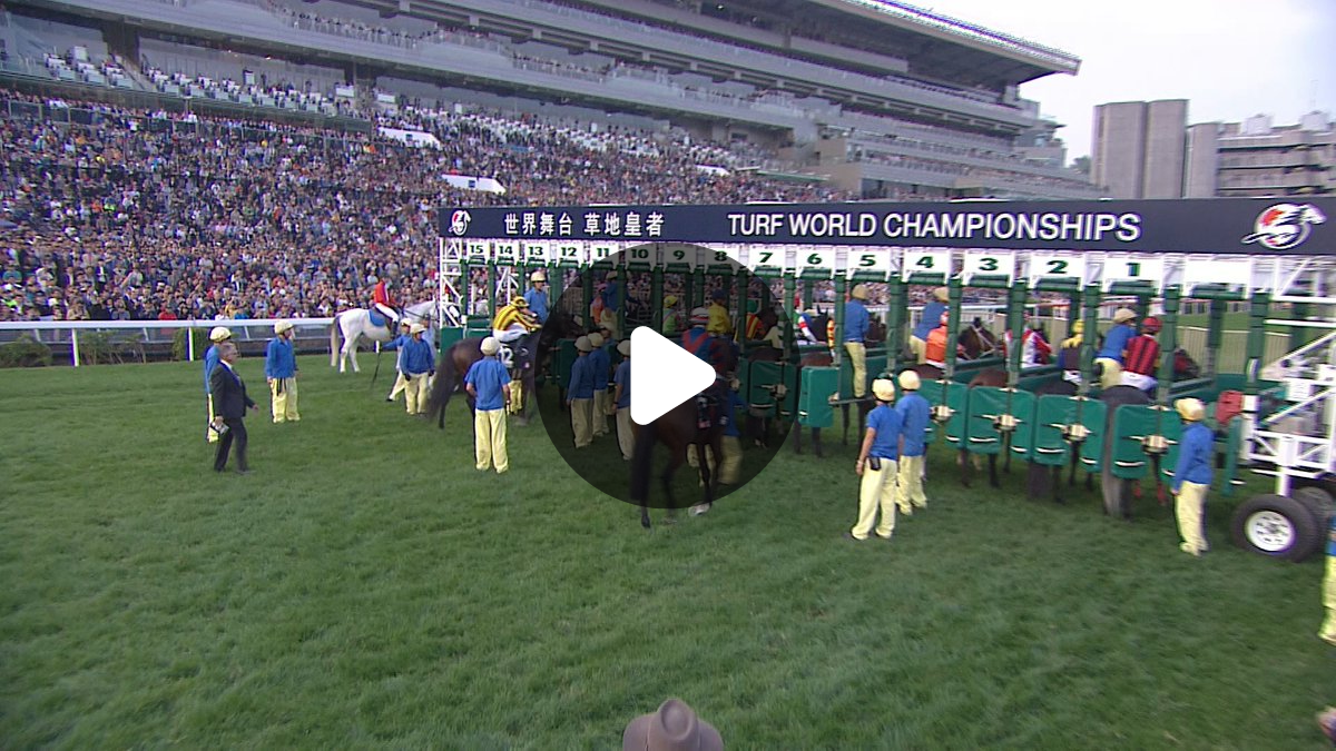 Arrowfield Stud on X: 